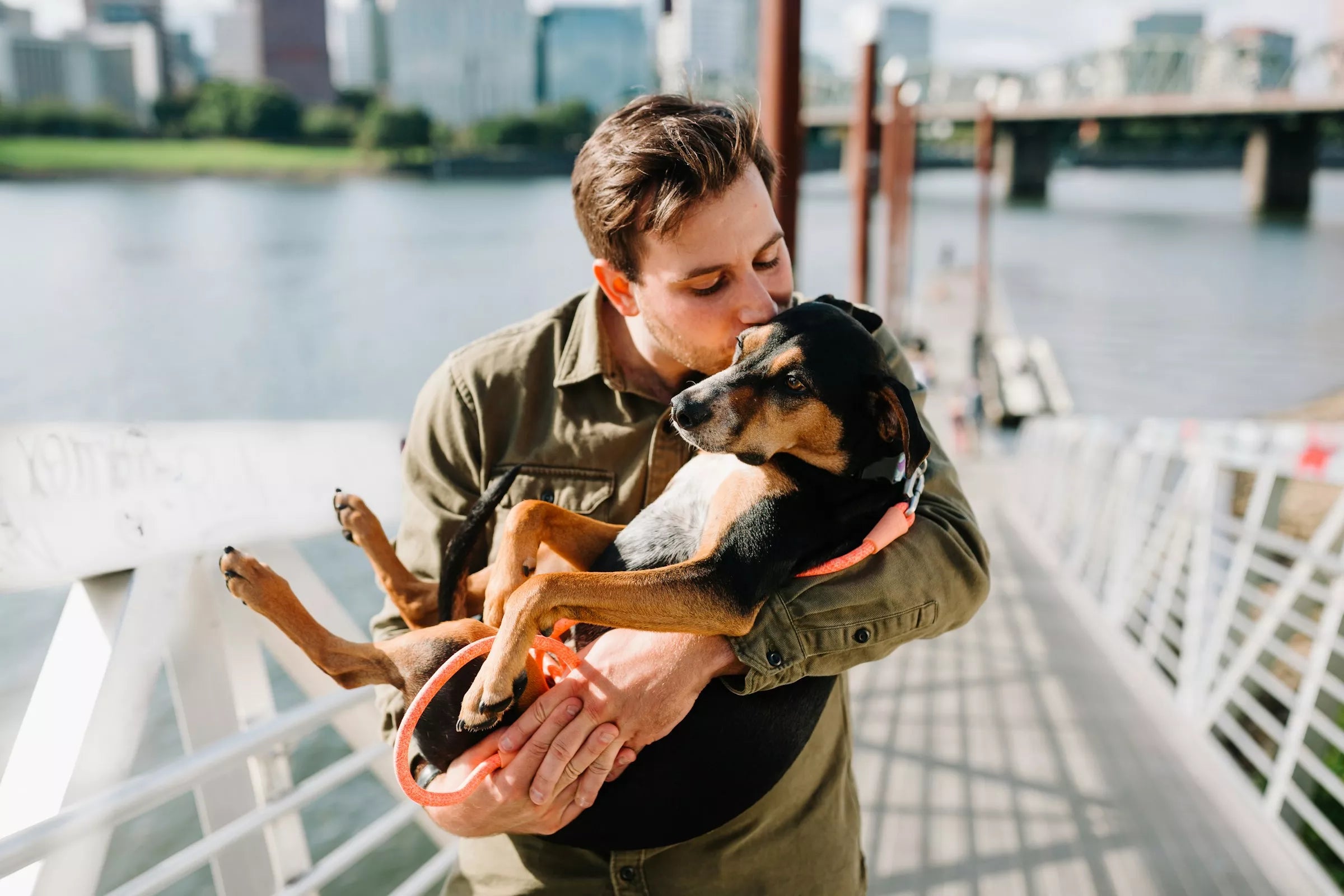 6 Signs Your Dog Loves You Canine Culture