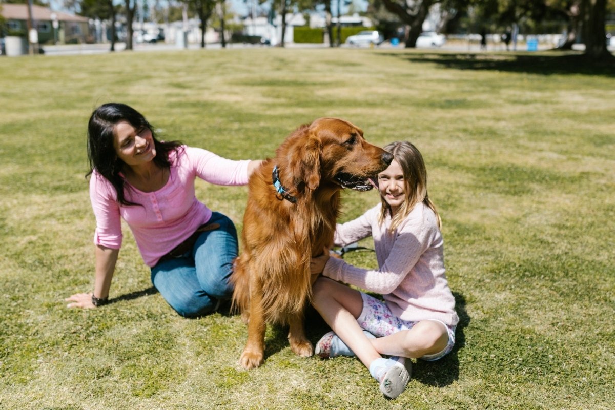 7 Ways to Be A Good Canine Parent - Canine Culture