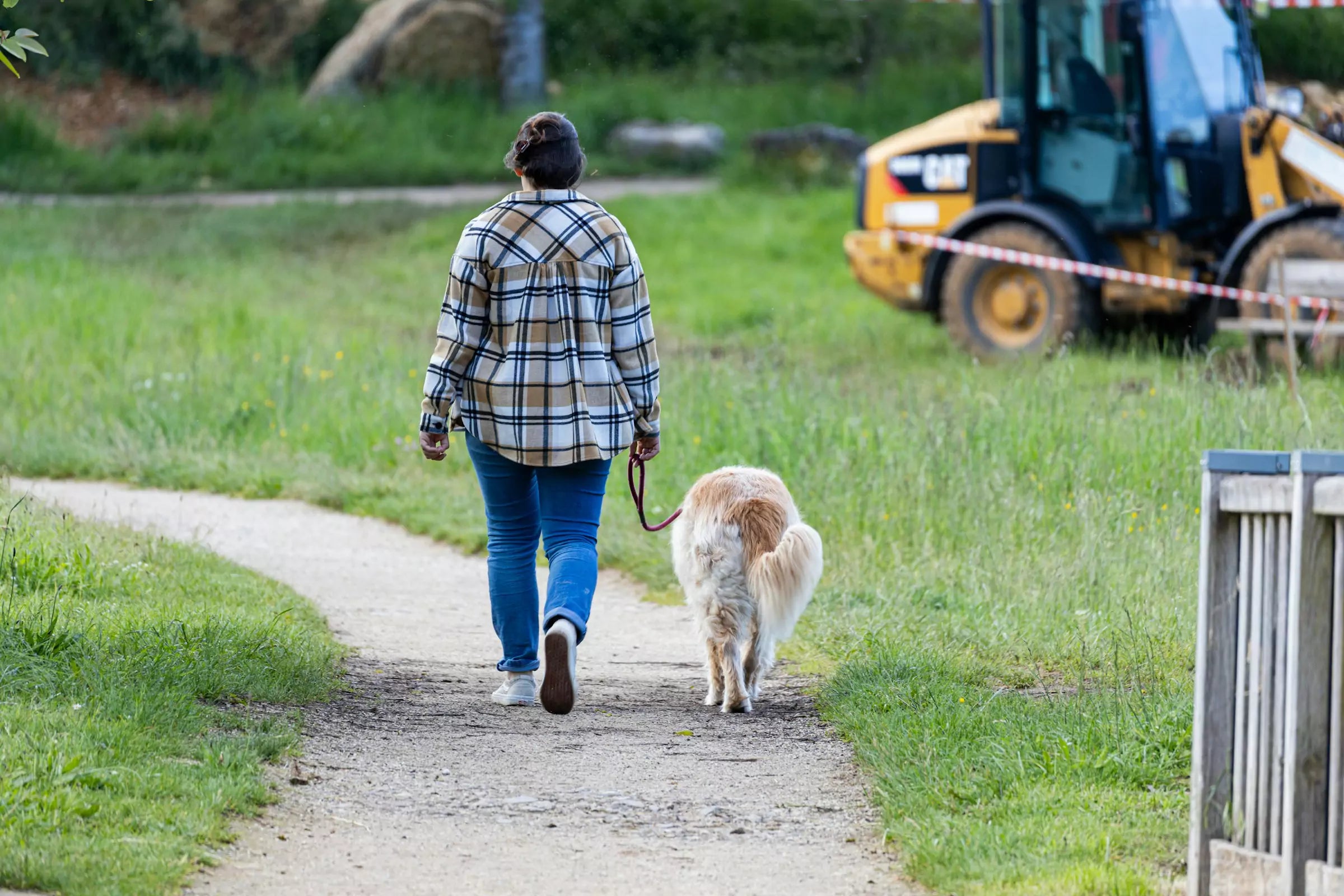 How Can I Teach My Dog to Walk Nicely on a Leash