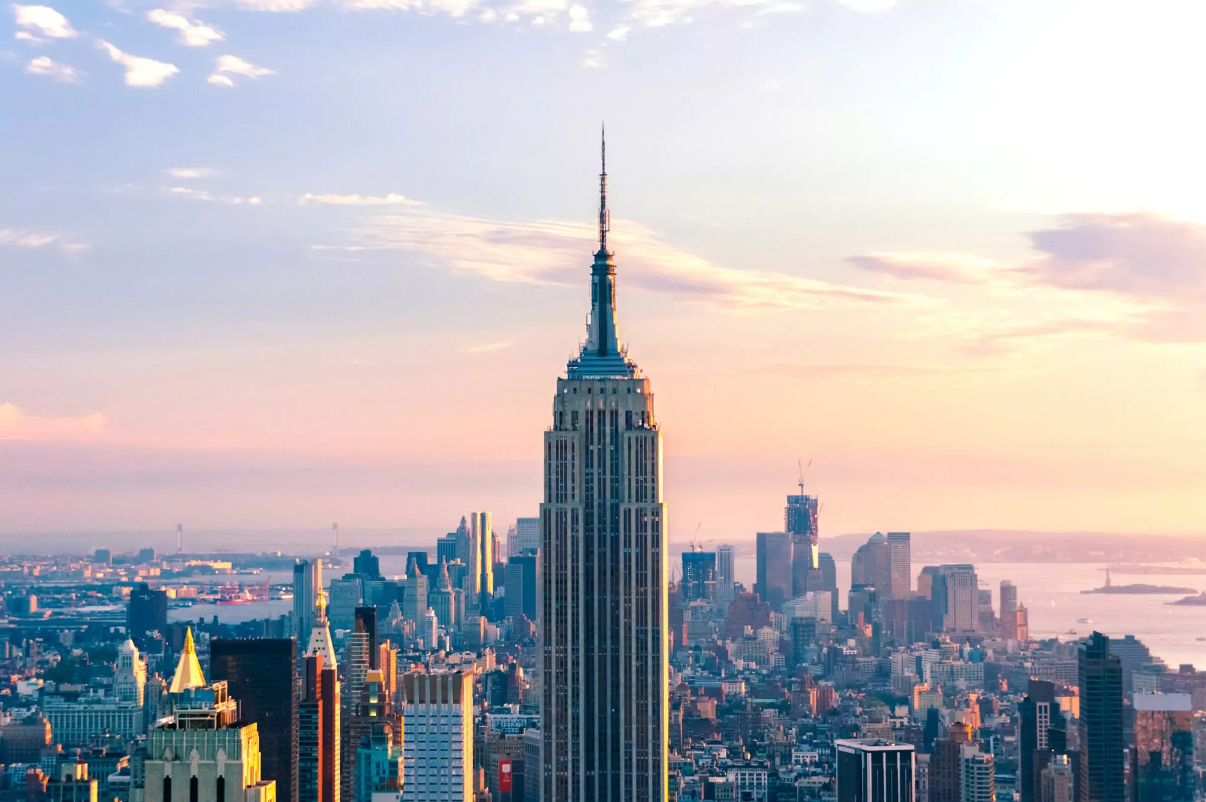 How Dog-Friendly Is New York Canine Culture