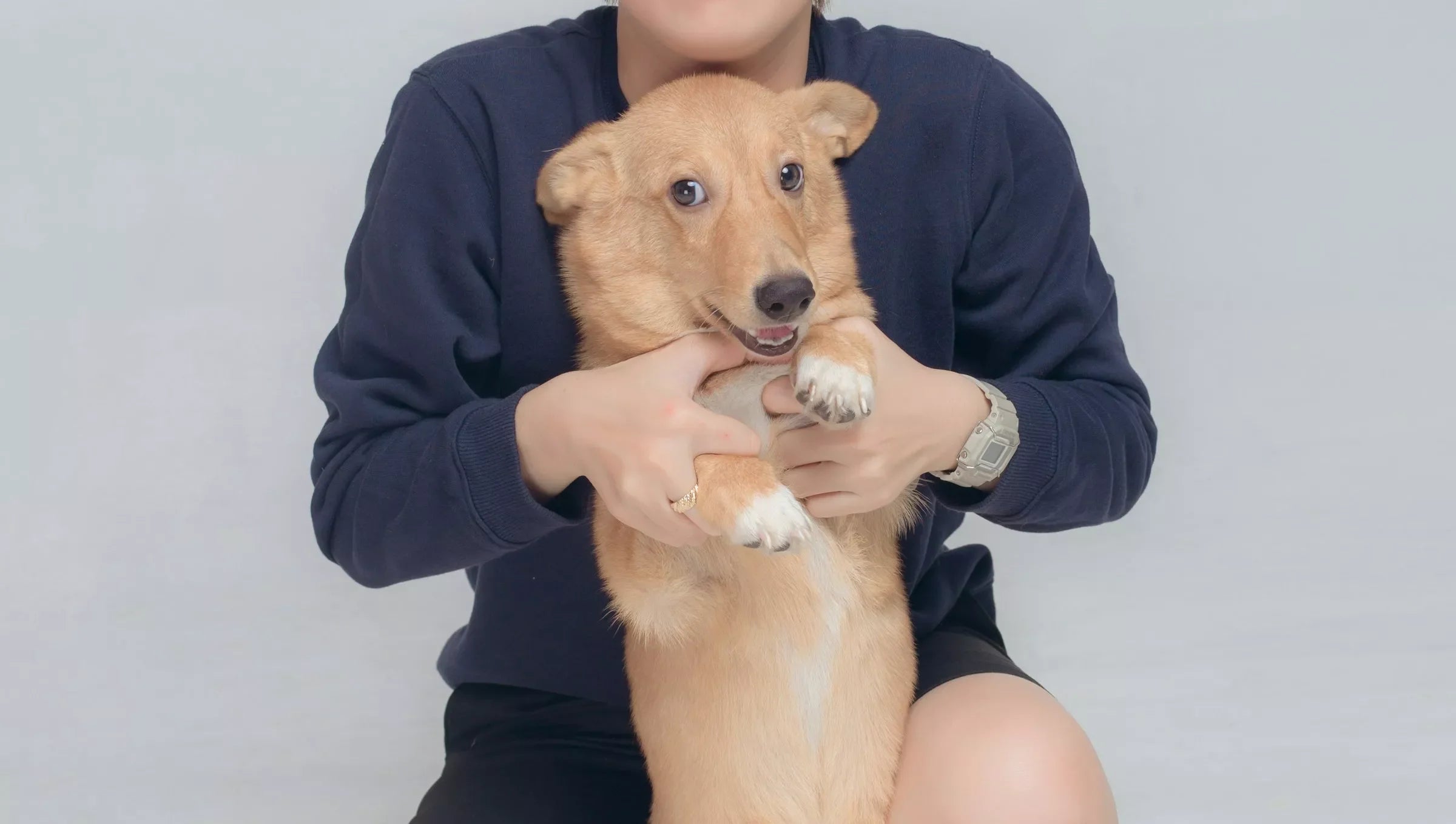 9 Mistakes Even Experienced Dog Owners Make