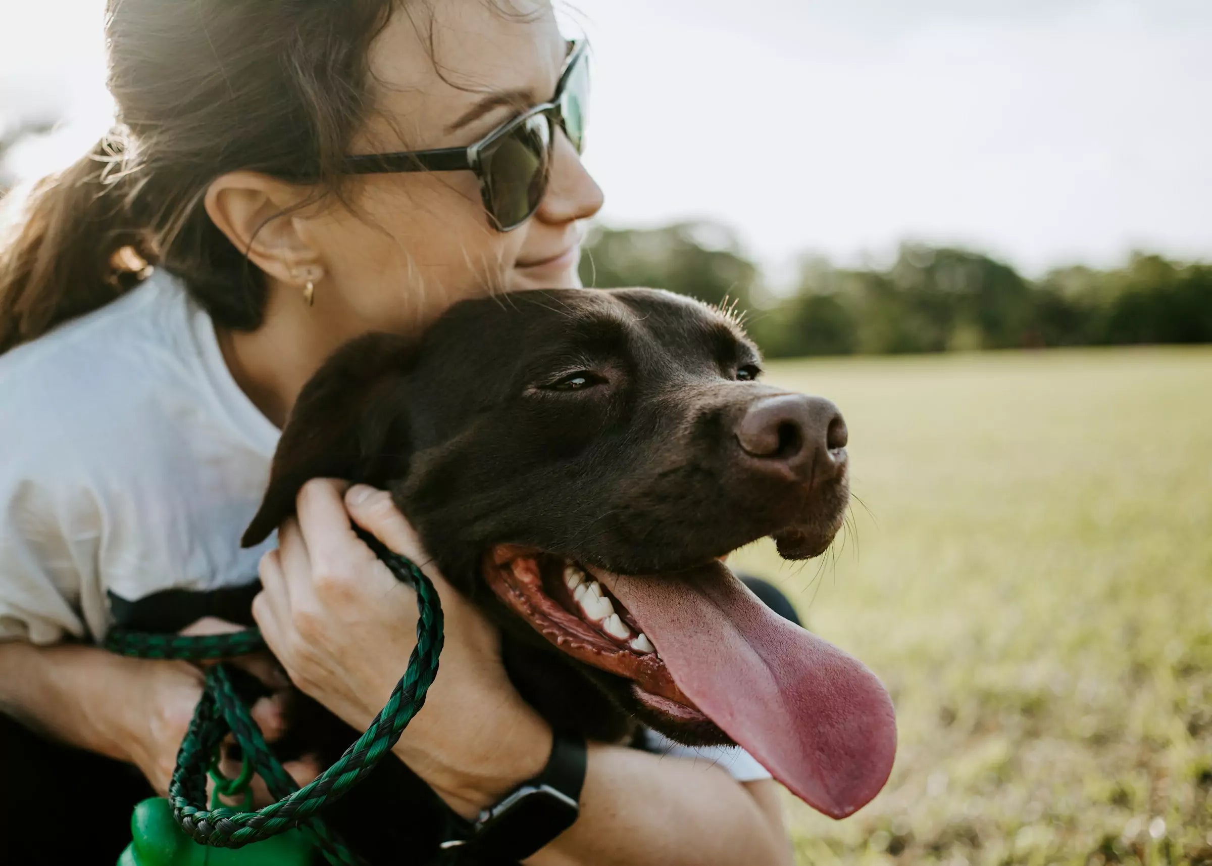 The Power of Positive Reinforcement