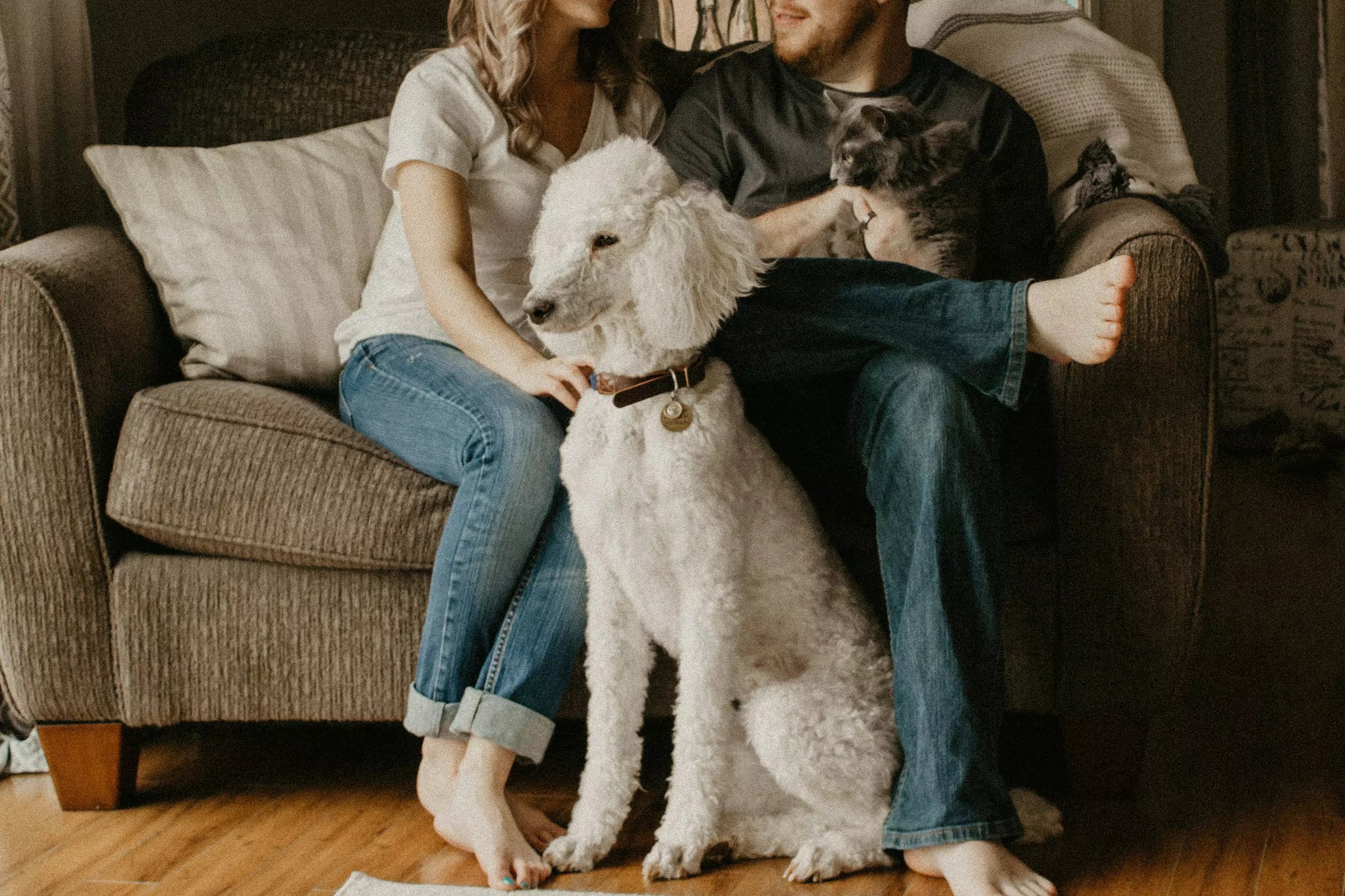 How to Keep Your Home Fur-Free Canine Culture