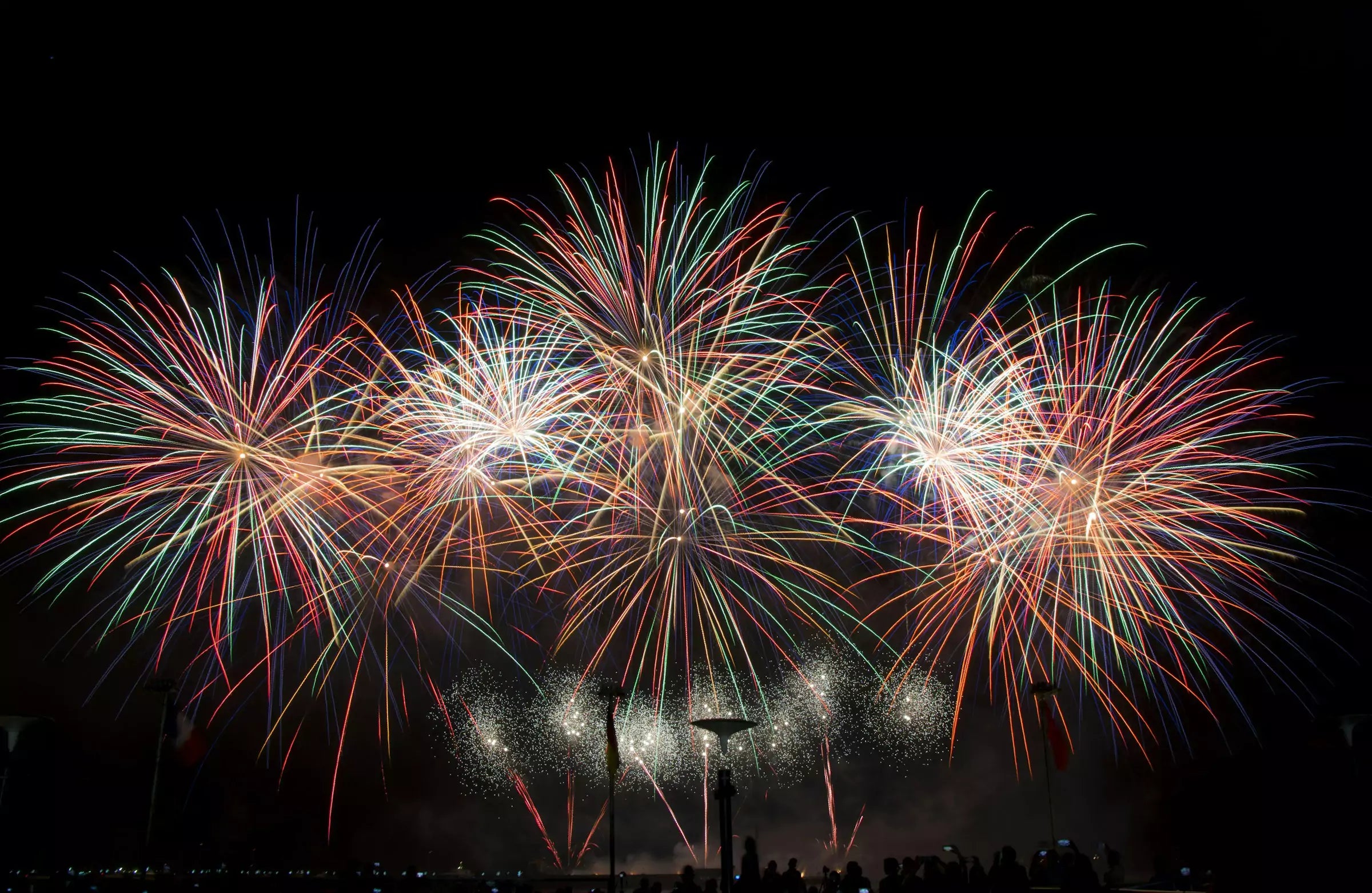 Keep Your Dog Calm and Happy During Fireworks Canine Culture