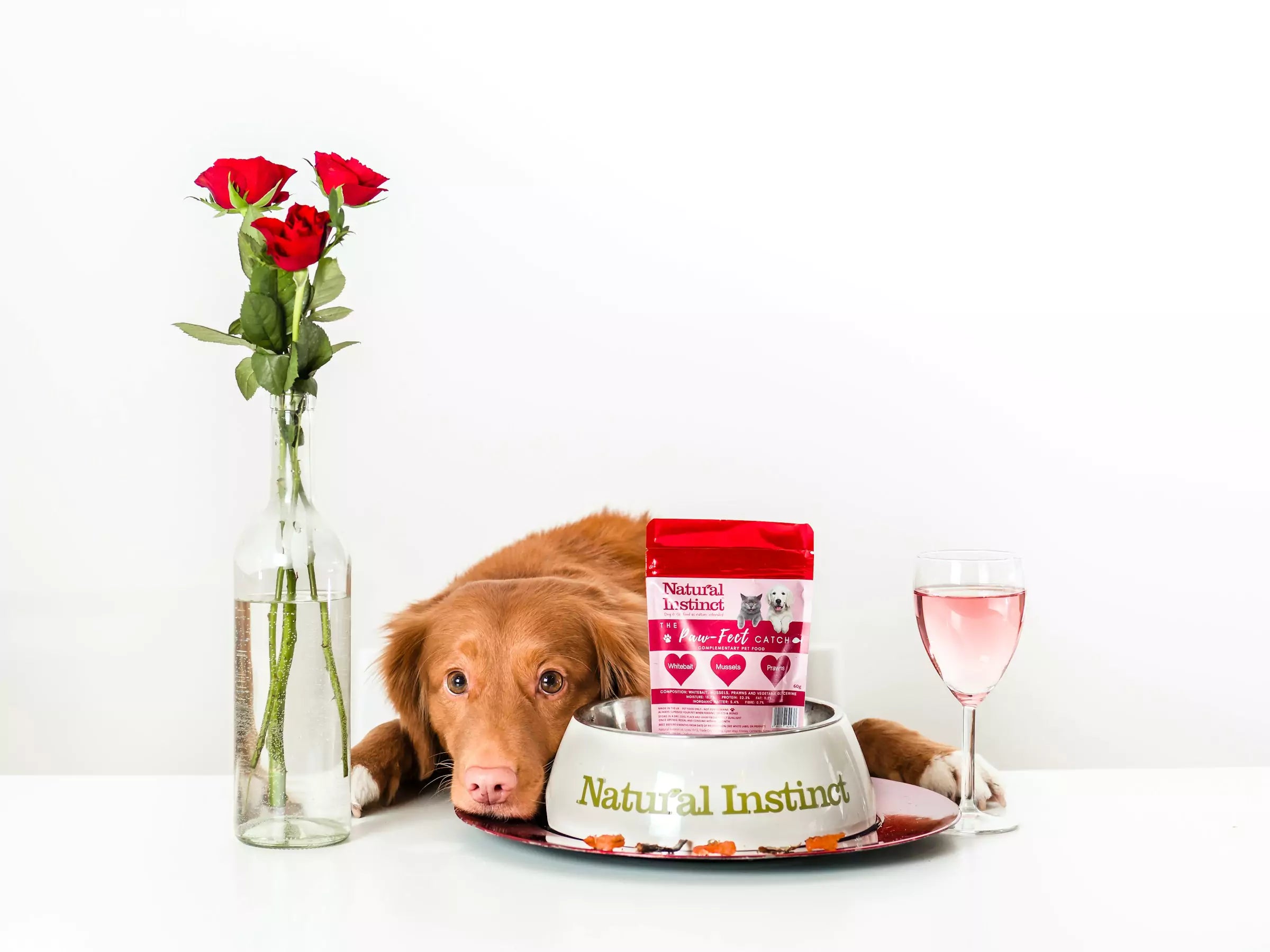 When to Transition a Puppy to Adult Dog Food Canine Culture