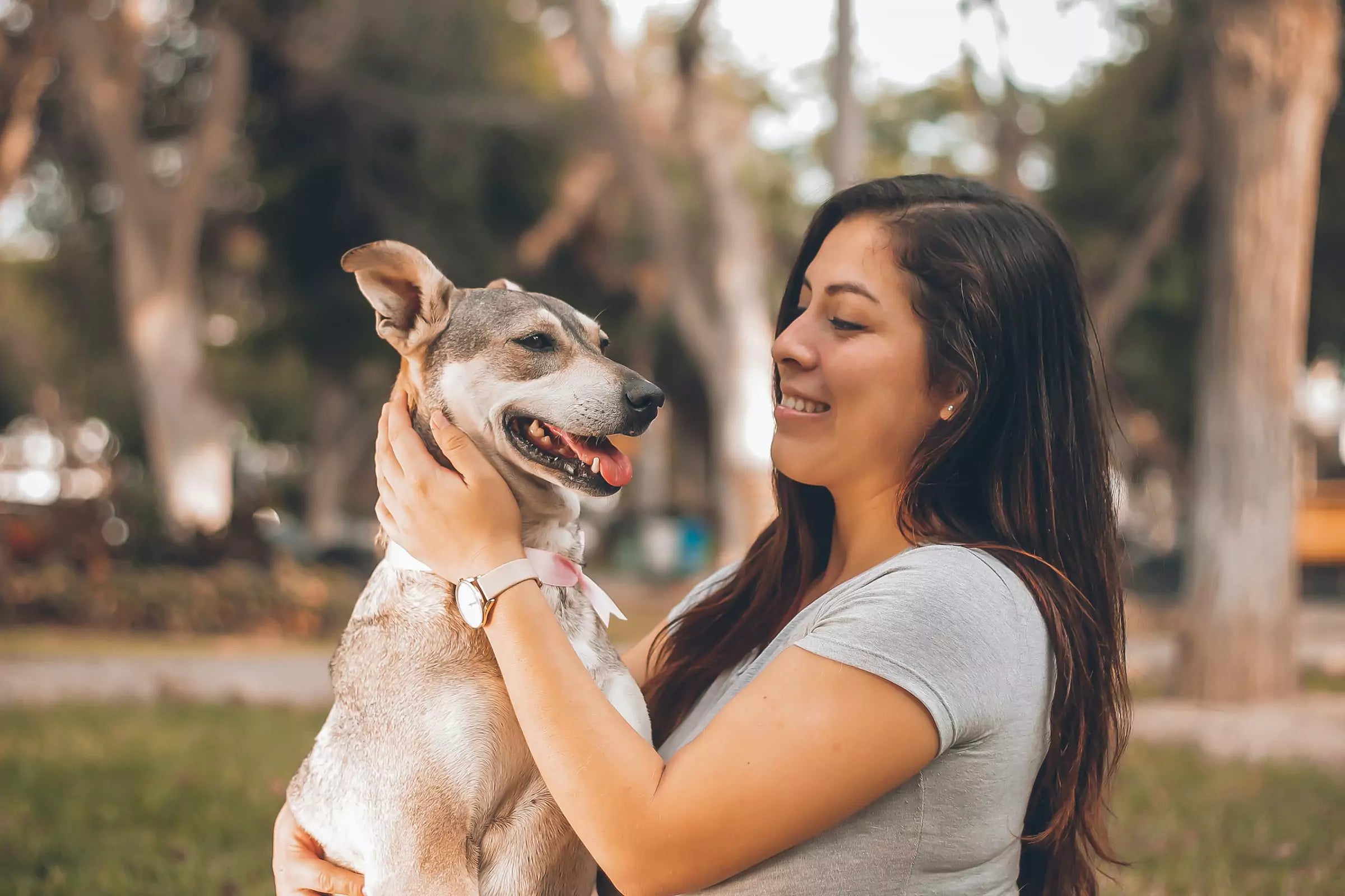 Which Dog Breed Is Right For You A Match Guide Canine Culture