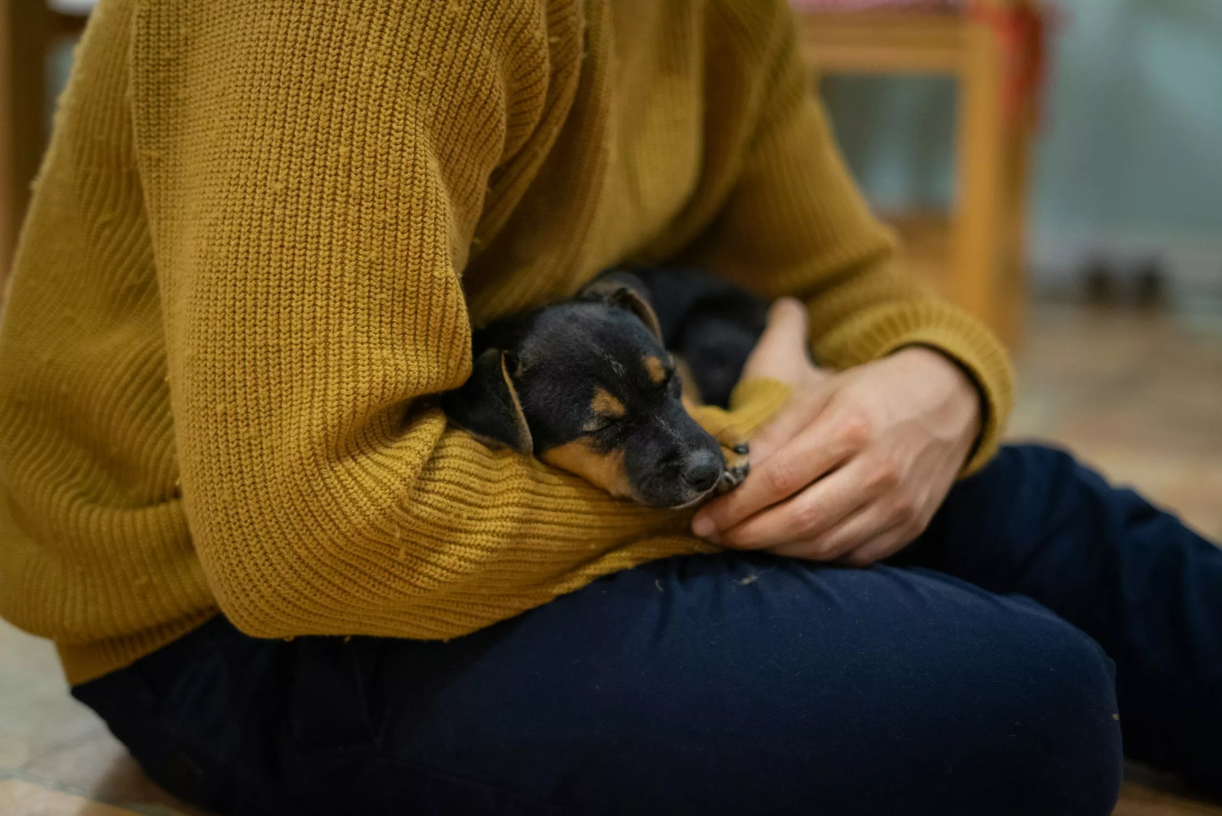 Why Does My Dog Sleep Touching Me? (7 Most Common Reasons)