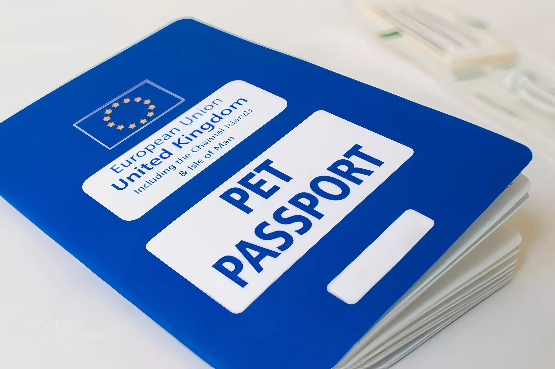 How to Get a Dog Passport (UK)