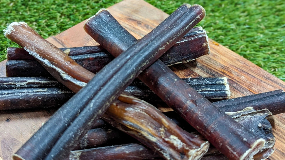 What Are Bully Sticks? Are They Good For Dogs? - Canine Culture