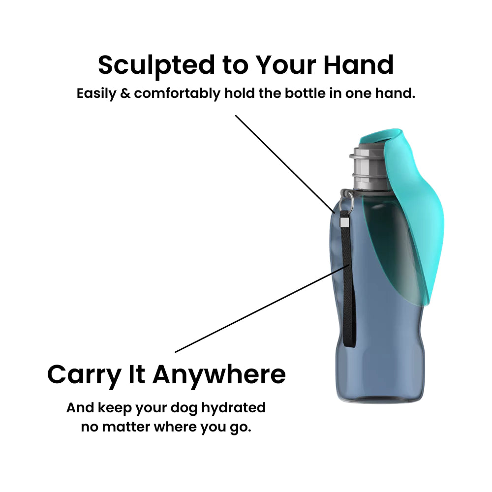 Dog Water Bottle | No Spill Leaf Funnel