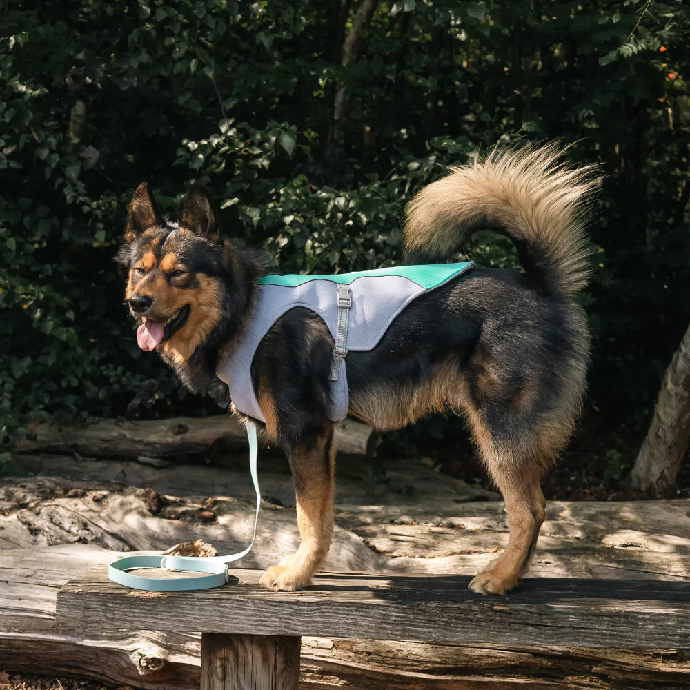 Active Cool Dog Vest Fleece Canine Culture