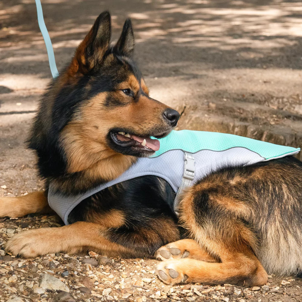 Active Cool Dog Vest Fleece Canine Culture