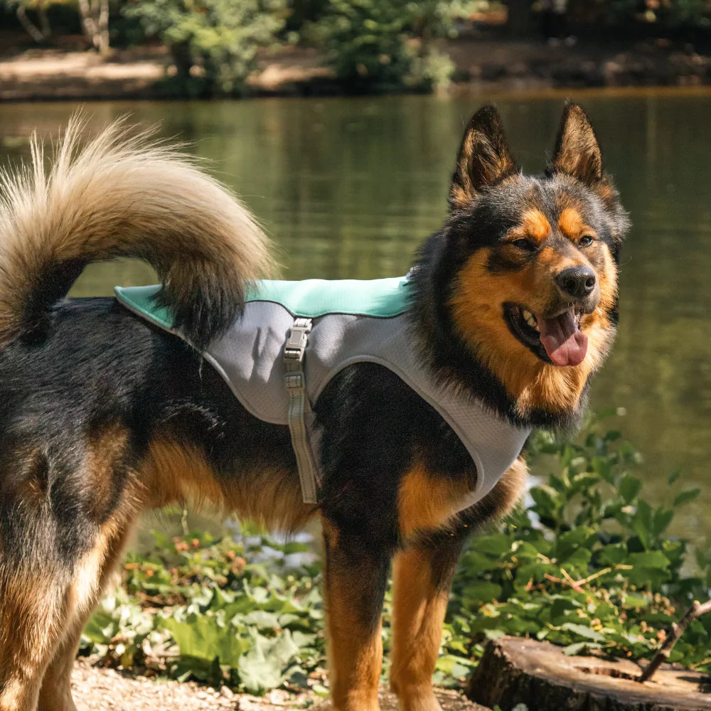 Active Cool Dog Vest Fleece Canine Culture