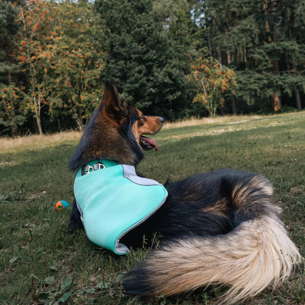 Active Cool Dog Vest Fleece Canine Culture