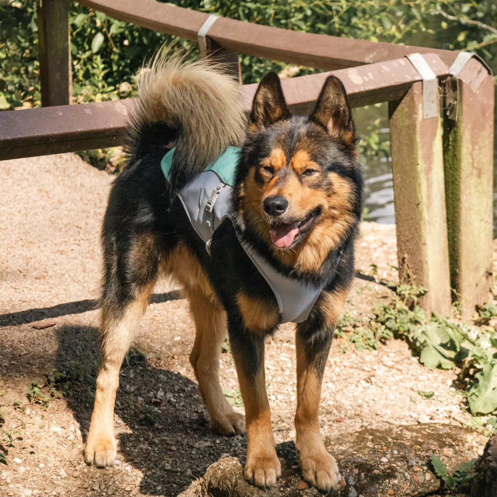 Active Cool Dog Vest Fleece Canine Culture