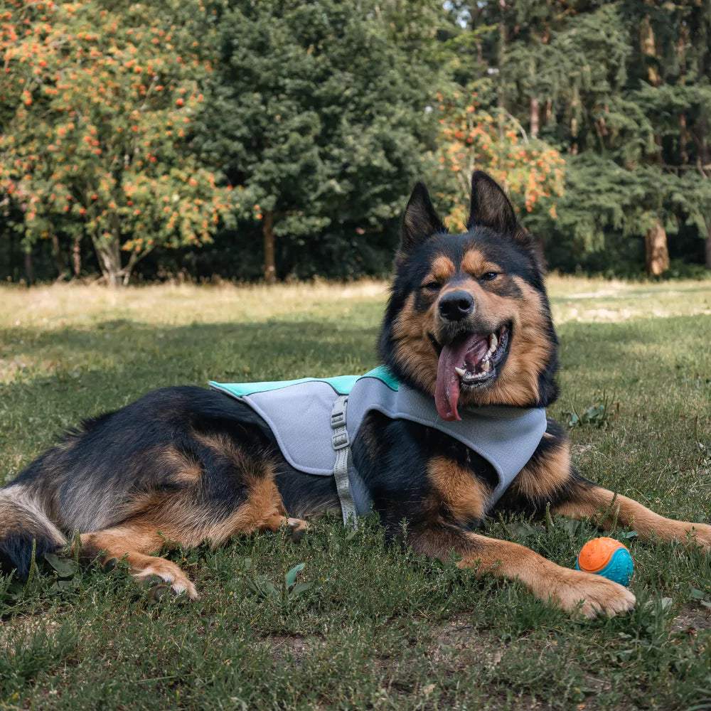 Active Cool Dog Vest Fleece Canine Culture