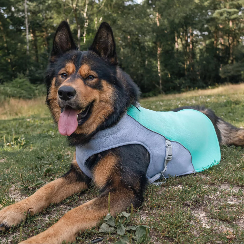 Active Cool Dog Vest Fleece Canine Culture
