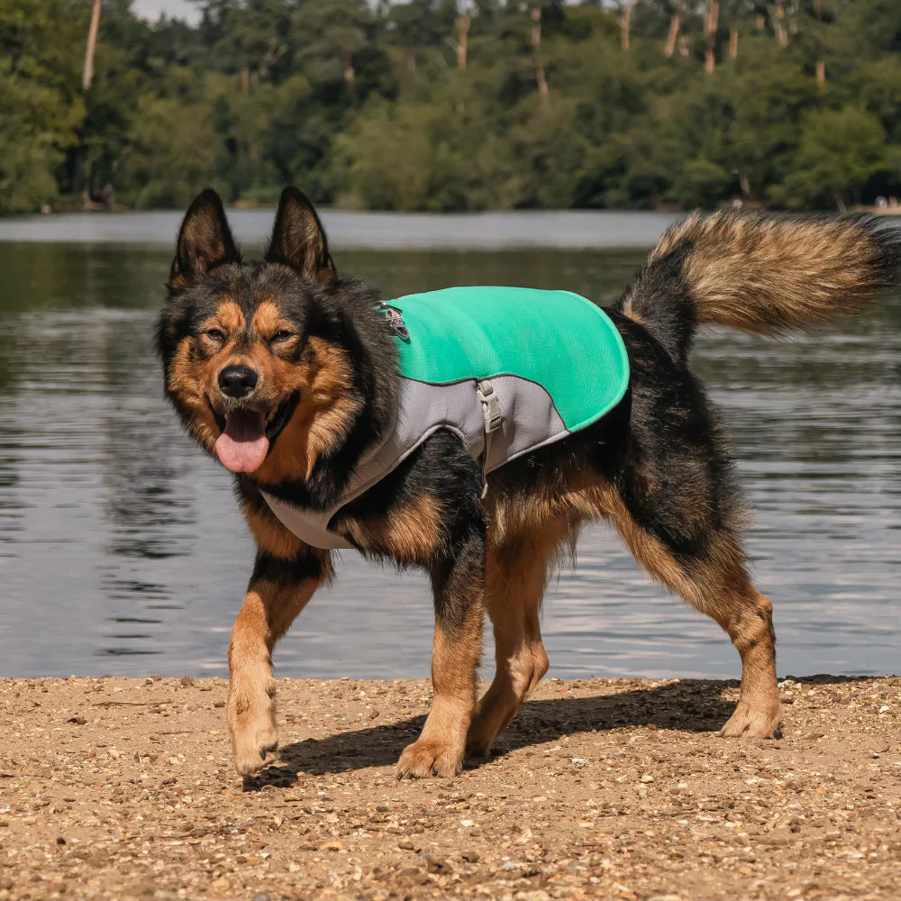 Active Cool Dog Vest Fleece Canine Culture
