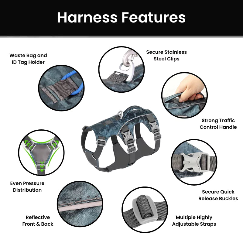 Adventure No Pull Dog Harness Y Shape Front Canine Culture