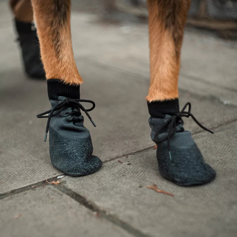 DOG SHOES CANINE CULTURE COLLECTIONS CC