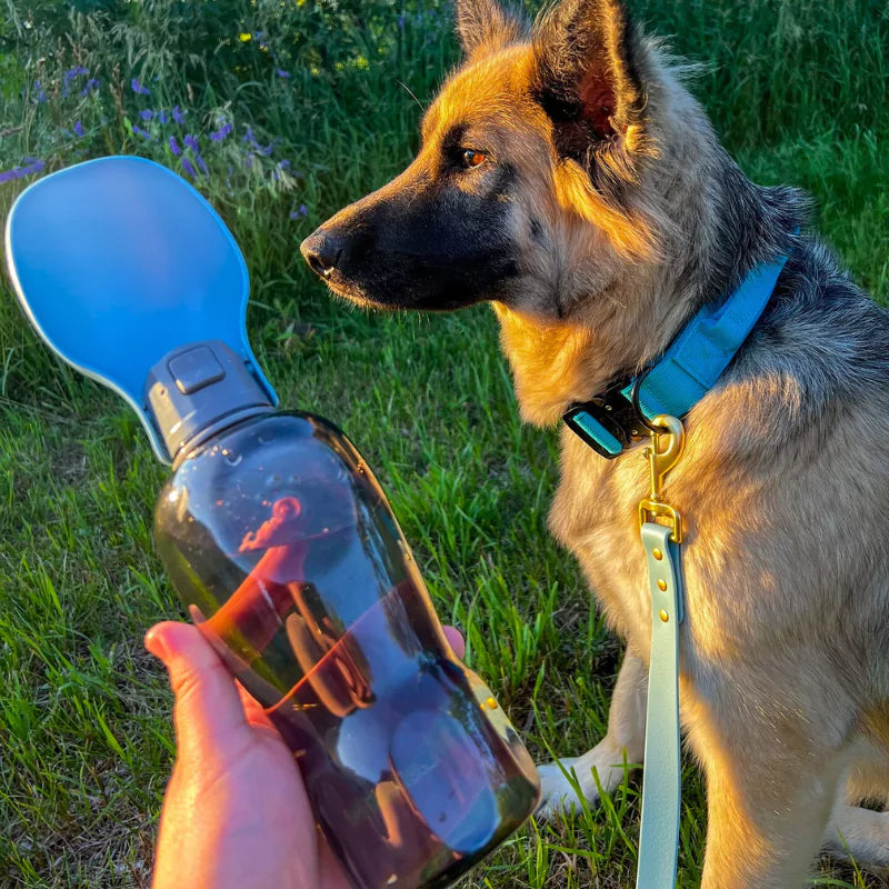 DOG WATER BOTTLE CANINE CULTURE COLLECTIONS CC