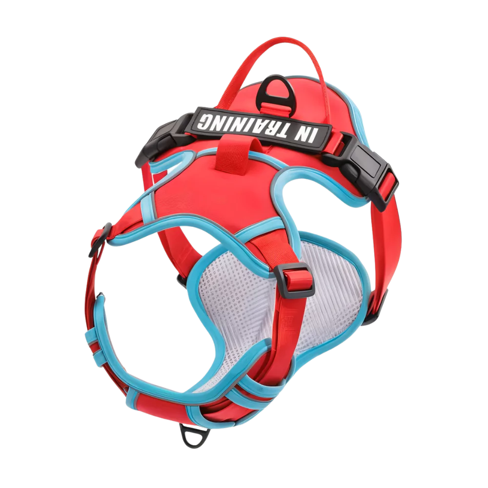 Custom Canine Dog Harness Canine Culture Y Shape Front With Front Clip