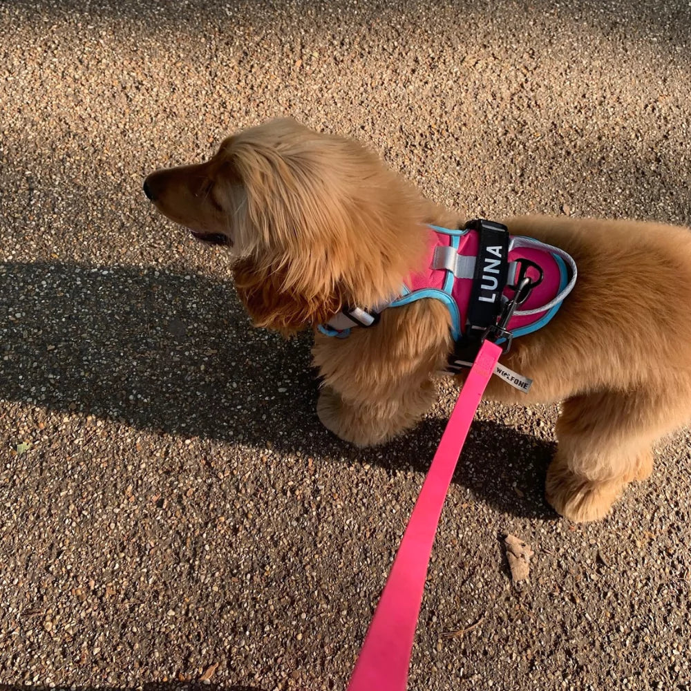pink CANINE CULTURE CUSTOM DOG HARNESS