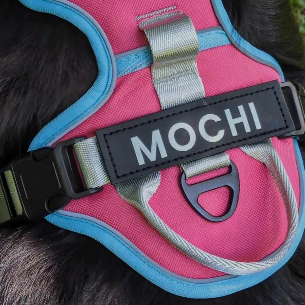pink CANINE CULTURE CUSTOM DOG HARNESS