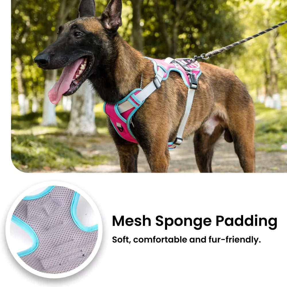 CUSTOM DOG HARNESS CANINE CULTURE