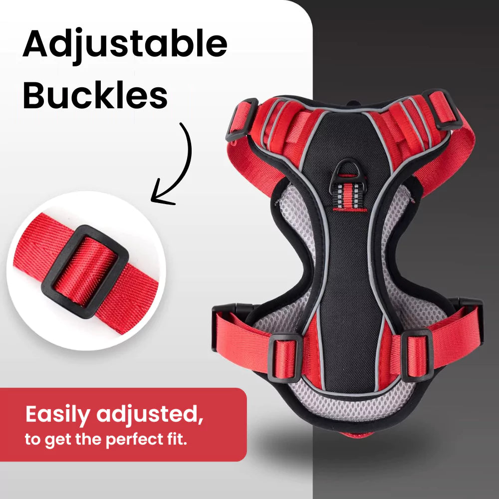 CUSTOM DOG HARNESS CANINE CULTURE