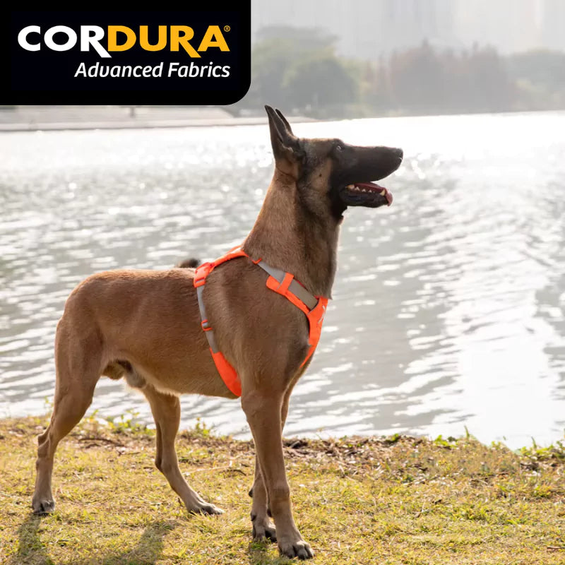 Canine Culture Cordura Exploration Dog Harness Pocket Storage Bag Dispenser Front Clip
