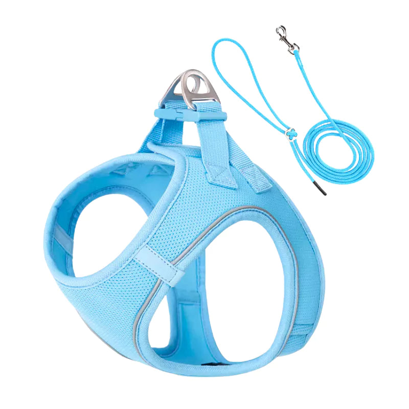 Blue Light Canine Culture Cordura Step-In Dog Harness Small Dog