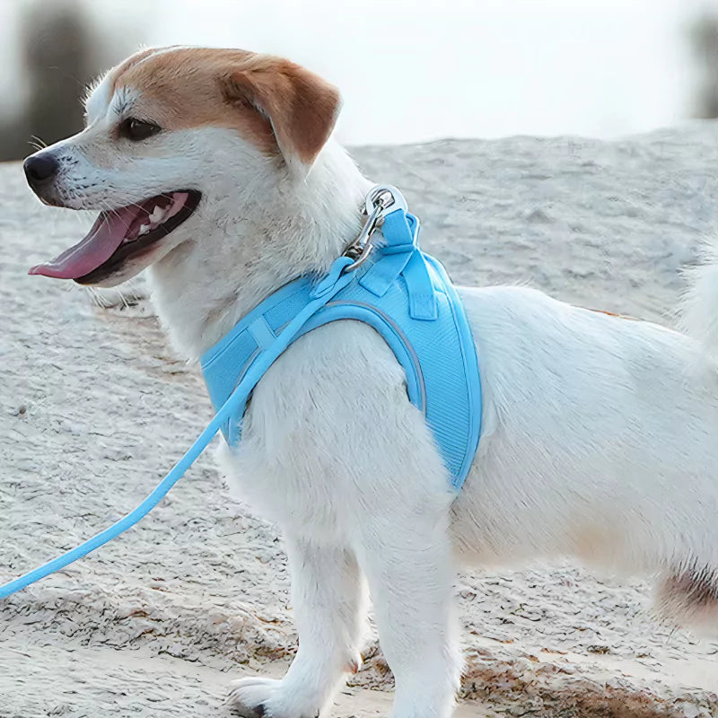 Canine Culture Cordura Step-In Dog Harness Small Dog