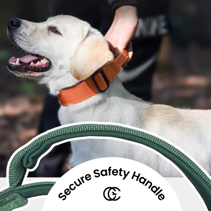 Light Pink Canine Dog Collar V2