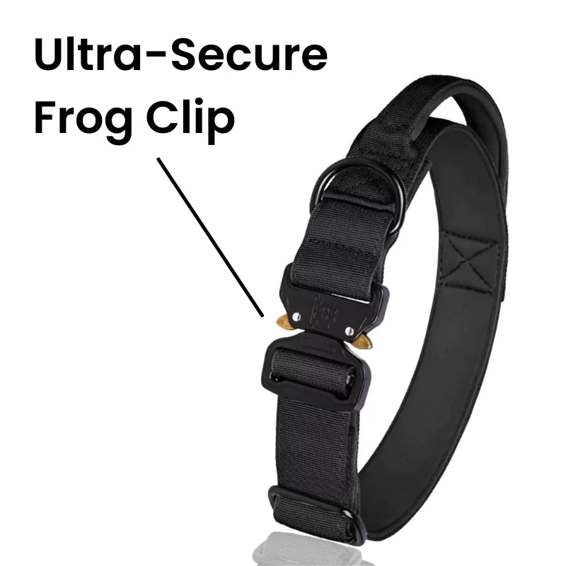 Deluxe Green Canine Dog Collar V2