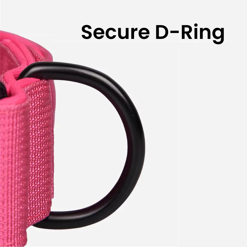 Lilac Canine Dog Collar V2