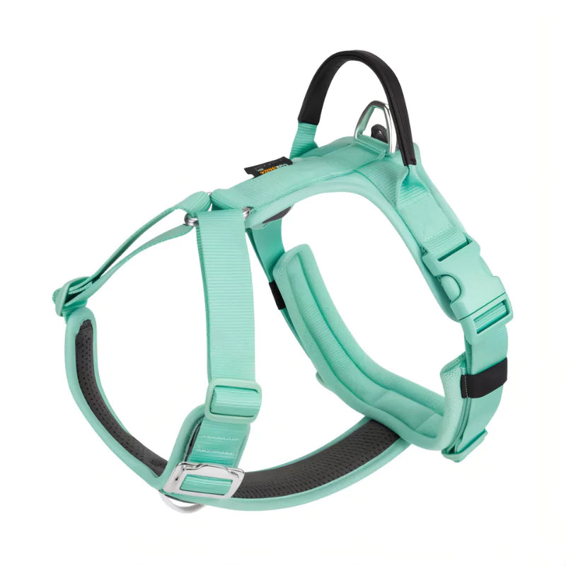 Mint Canine Culture Cordura Dog Harness Y Front Clip No Pull