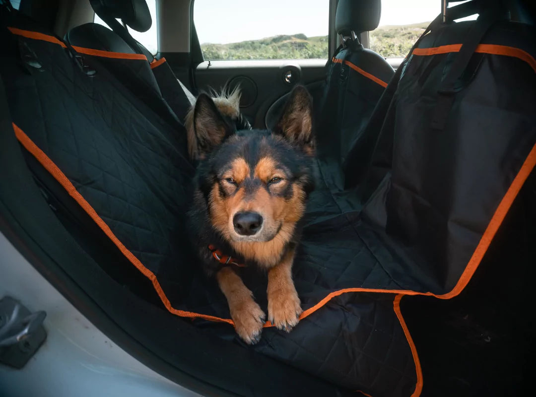 canine culture dog car seat covers