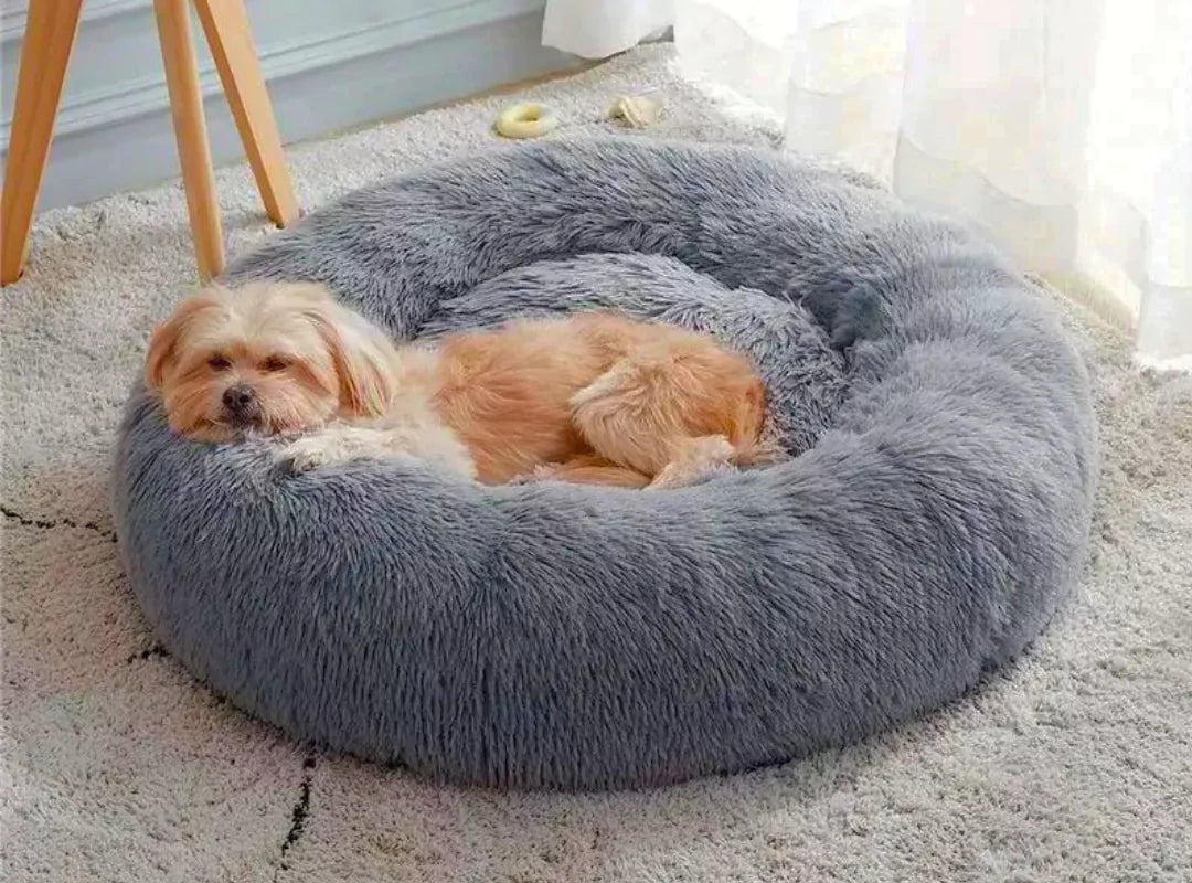 canine culture dog beds