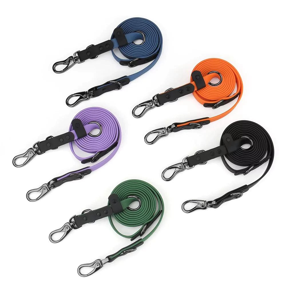 canine culture dog leash dog lead double ended two clips