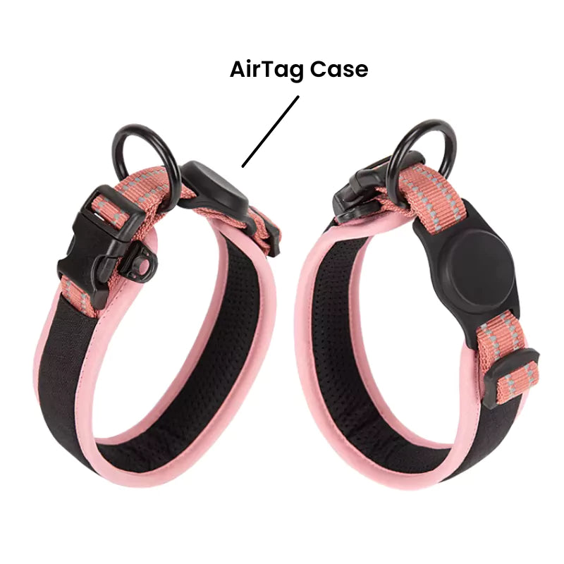 Pink Cordura Dog Collar AirTag Canine Culture
