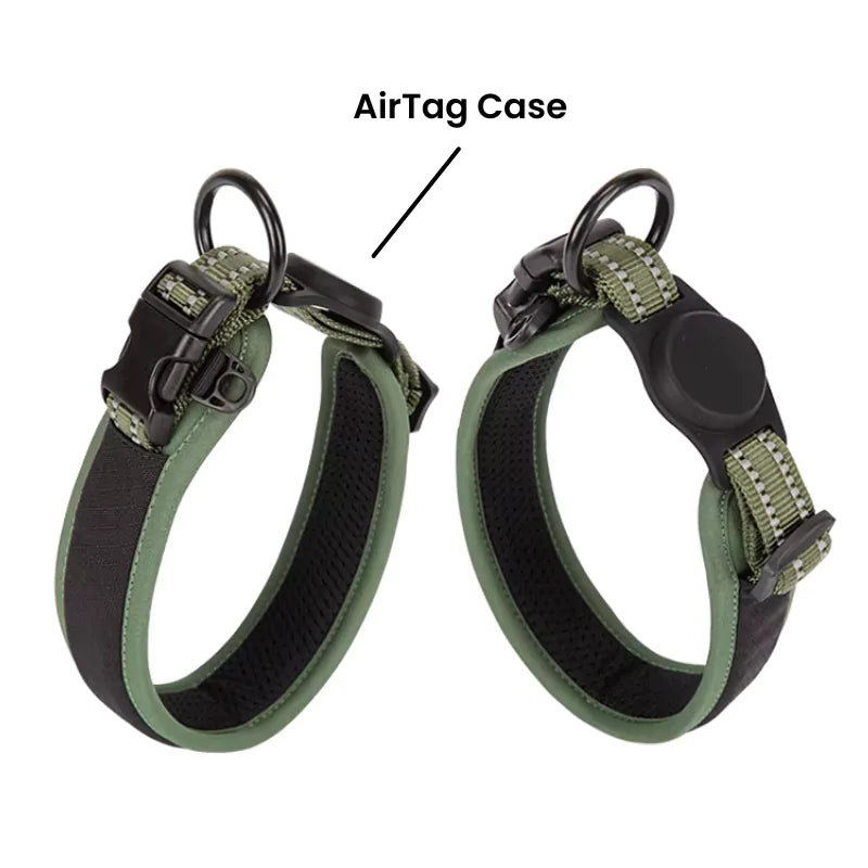 Green Cordura Dog Collar AirTag Canine Culture