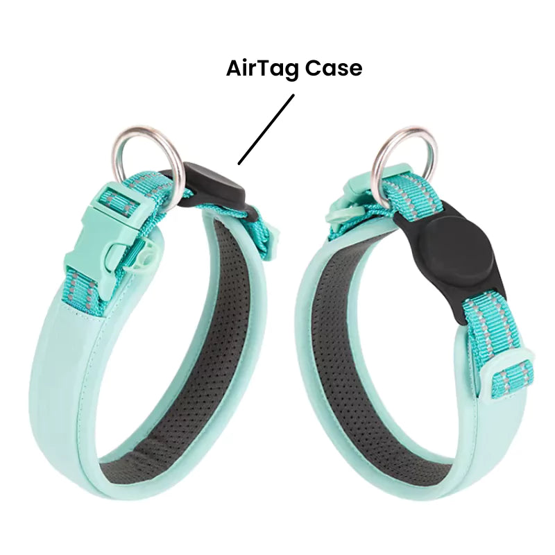 Mint Blue Cordura Dog Collar AirTag Canine Culture