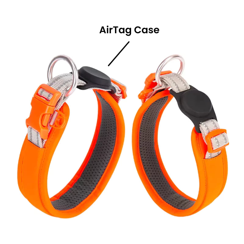 Orange Cordura Dog Collar AirTag Canine Culture