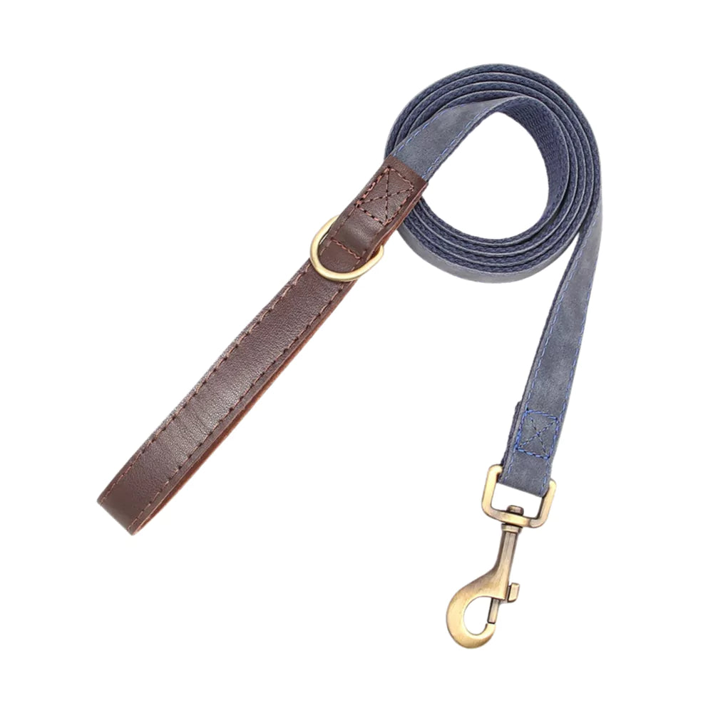 BLUE Dog leash with brown leather end and gold hardware on a white background