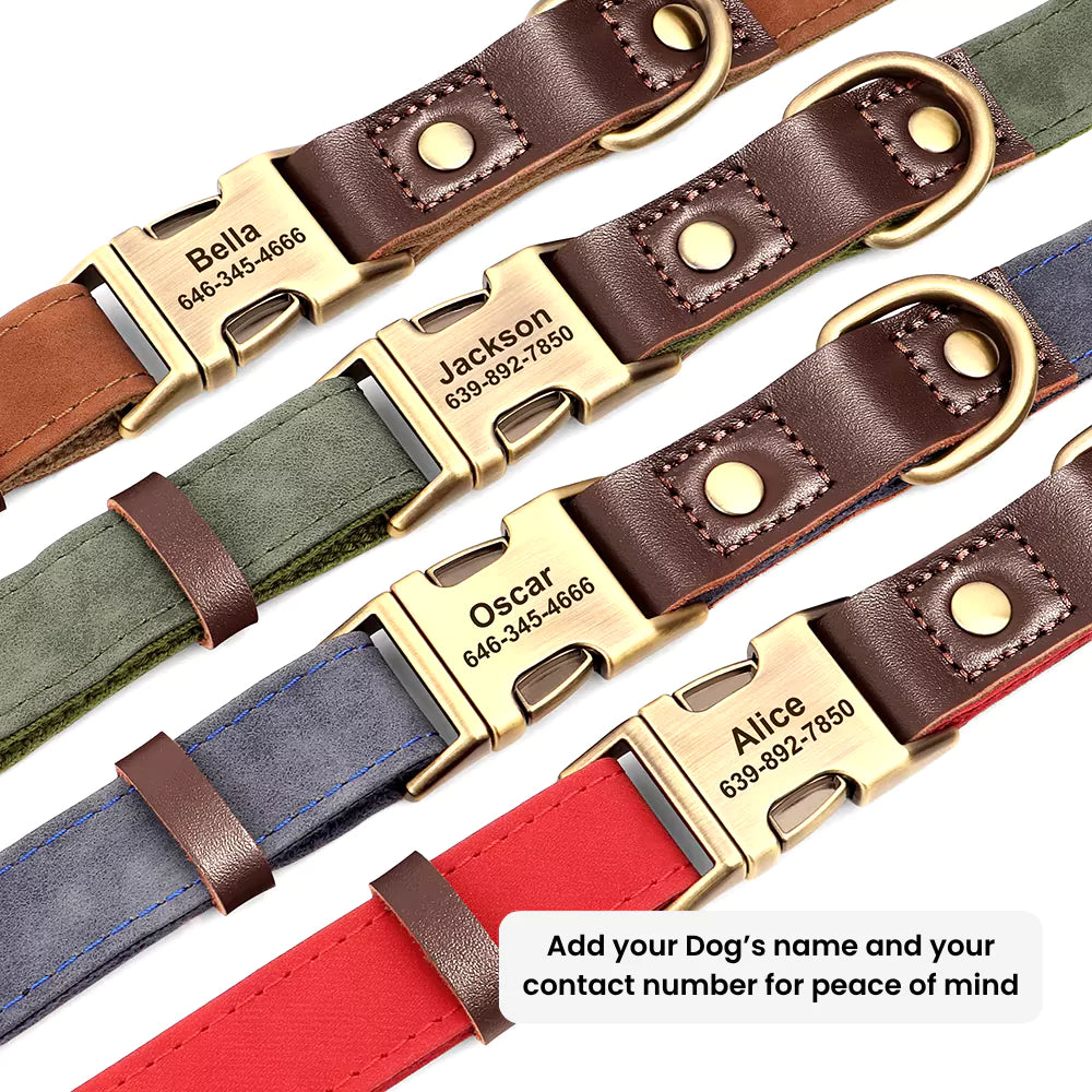 Custom Artisan Dog Collar Lead Personalised Canine Culture