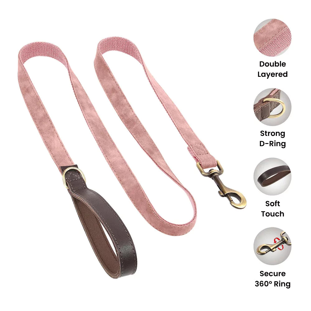 Custom Artisan Dog Collar Lead Personalised Canine Culture