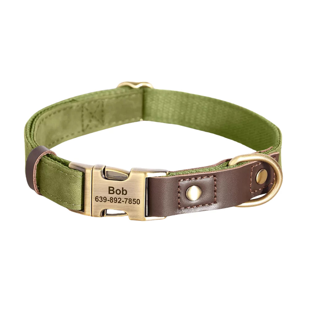 Green dog collar with brown leather accent and gold buckle on a white background