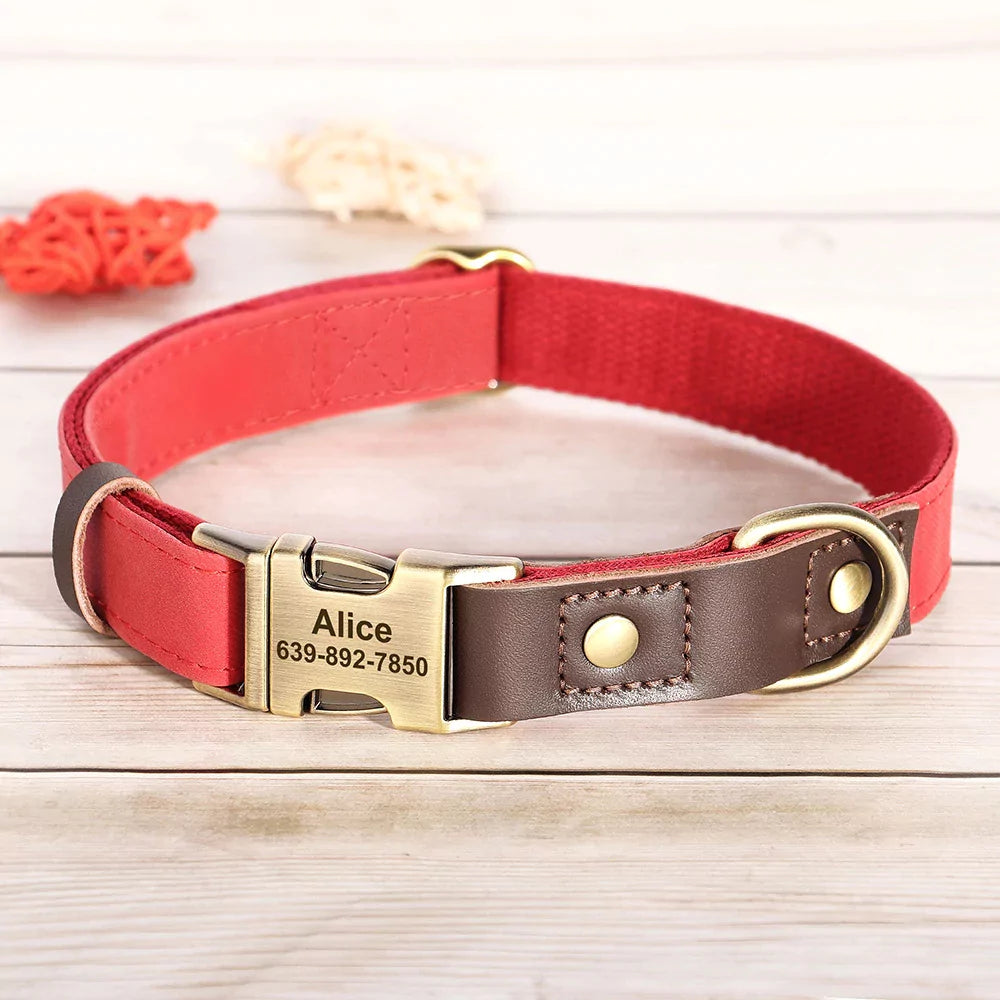 Red dog collar with brown leather patch and gold nameplate on a wooden surface