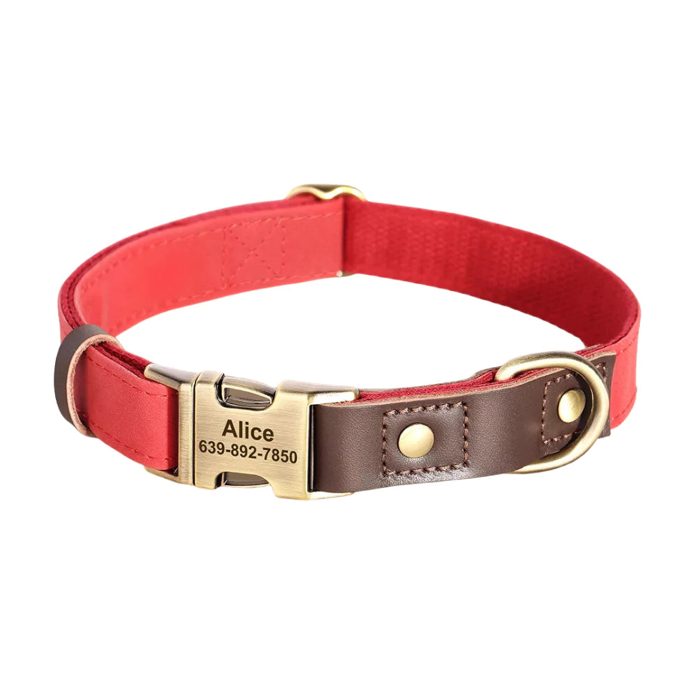 Red dog collar with brown leather patch and gold buckle on a white background